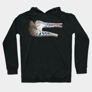 Low Poly Serval Lying Down Hoodie